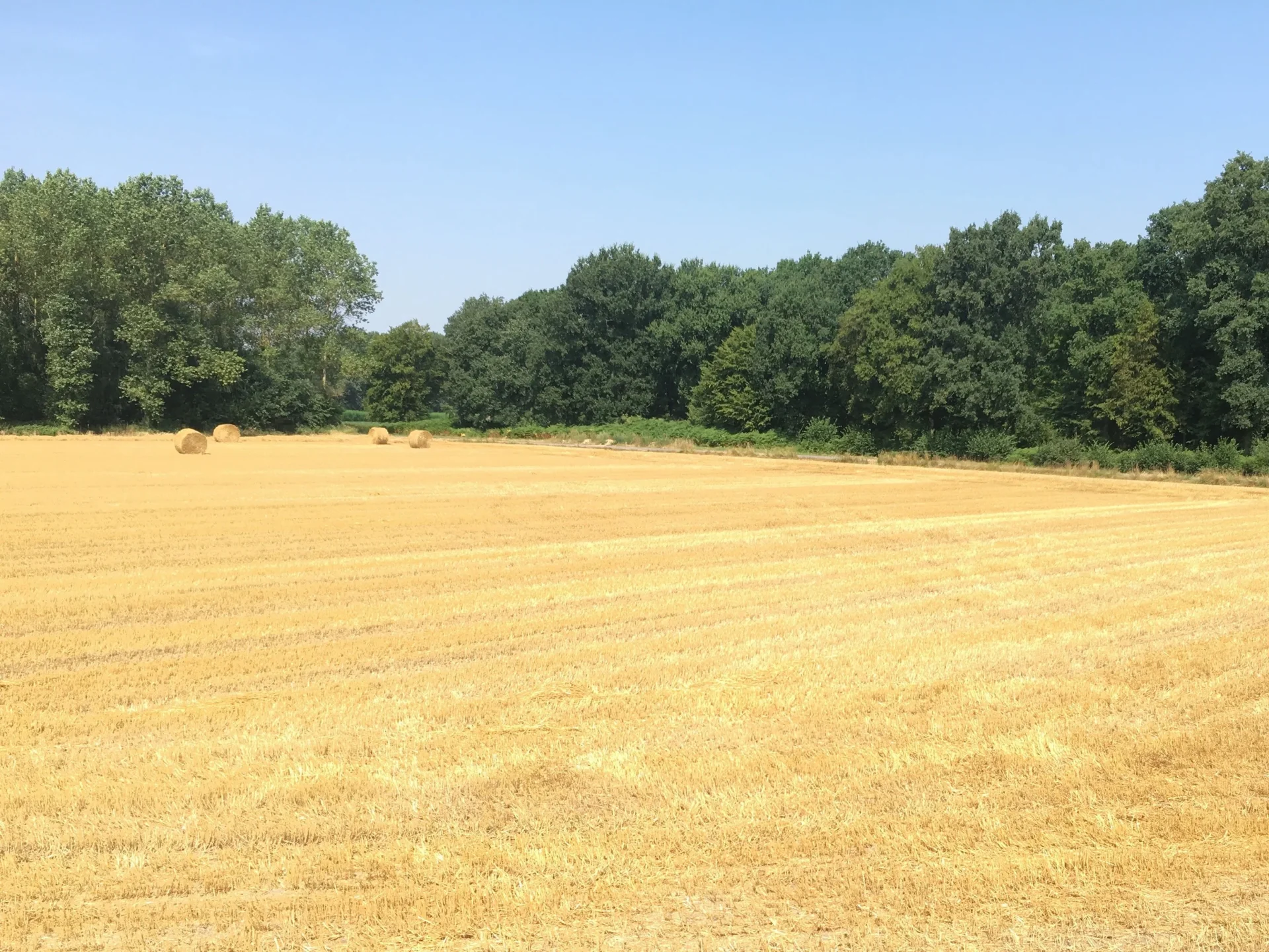 Les terres de la famille derrière le domaine, à Marchiennes